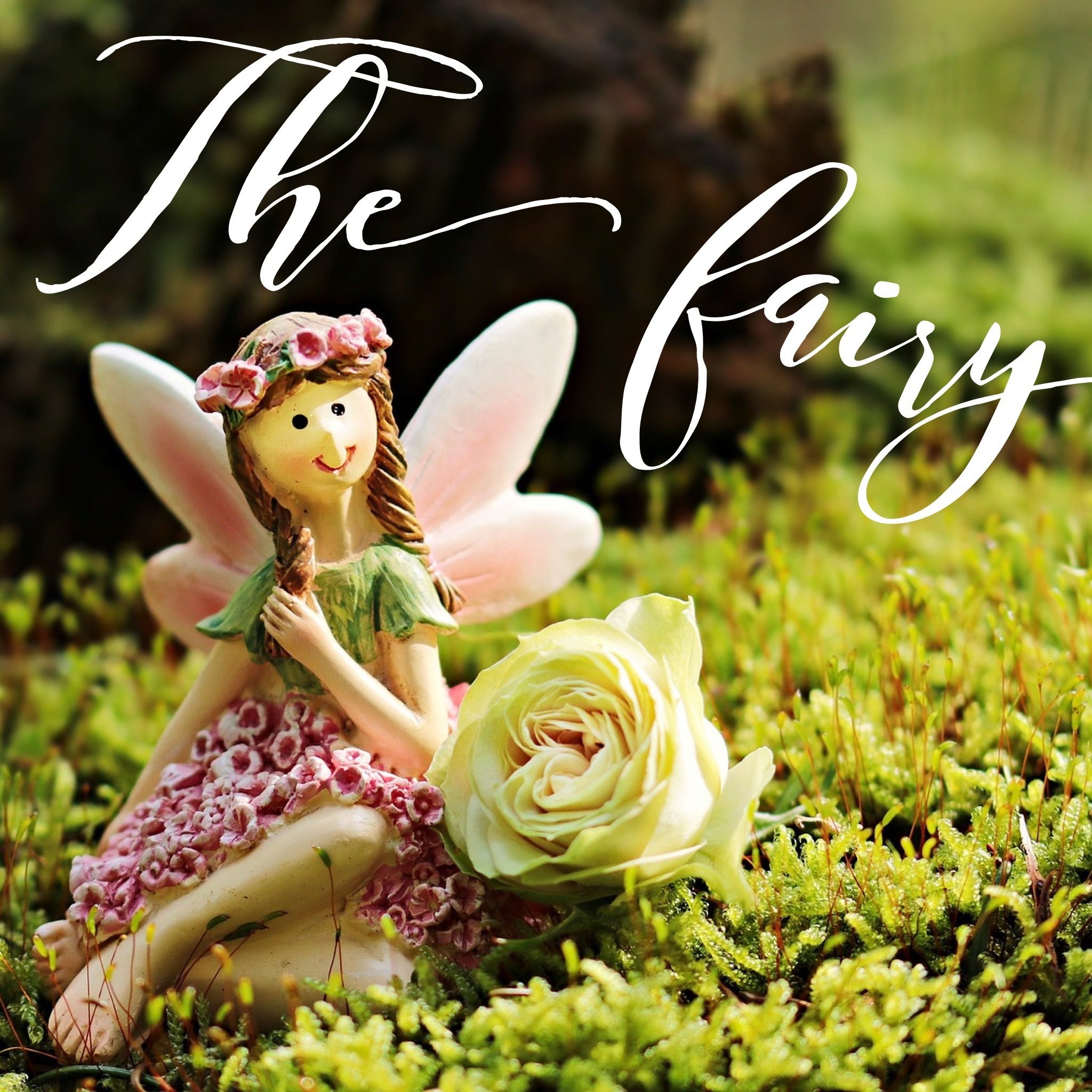 The Fairy fairytale